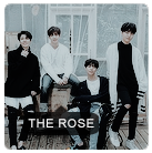 the rose